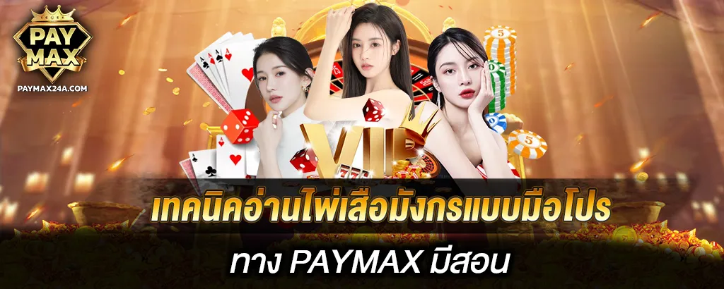 เทคนิคอ่านไพ่เสือมังกรแบบมือโปรทาง PAYMAX มีสอน